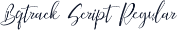 Bqtrack Script Regular