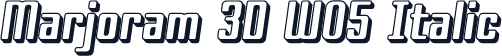 Marjoram 3D W05 Italic