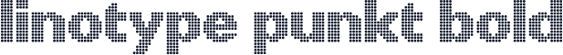 Linotype Punkt Bold