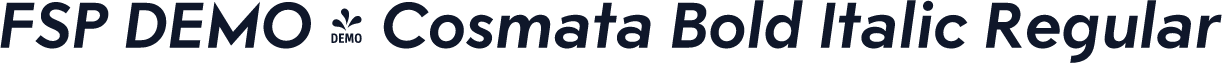 FSP DEMO - Cosmata Bold Italic Regular