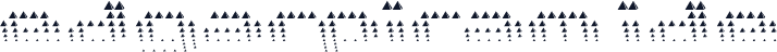 edgarpiramide