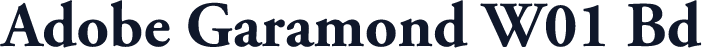 Adobe Garamond W01 Bd