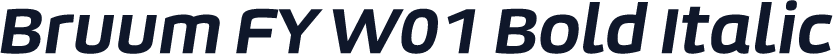 Bruum FY W01 Bold Italic