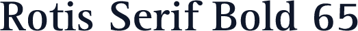 Rotis Serif Bold 65