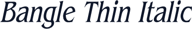 Bangle Thin Italic