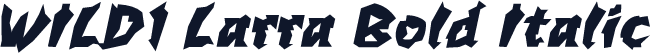 WILD1 Larra Bold Italic