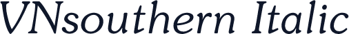 VNsouthern Italic