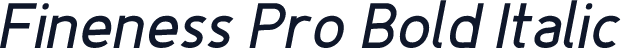 Fineness Pro Bold Italic