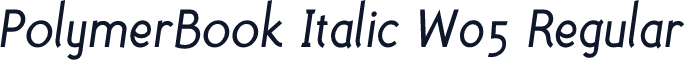 PolymerBook Italic W05 Regular