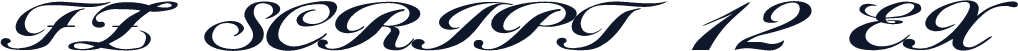 FZ SCRIPT 12 EX