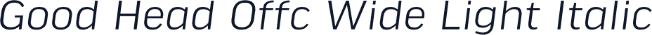 Good Head Offc Wide Light Italic