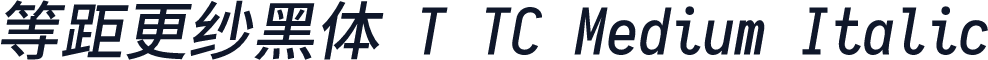 等距更纱黑体 T TC Medium Italic