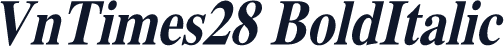 VnTimes28 BoldItalic