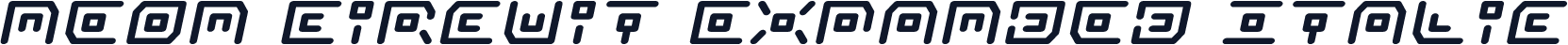 Neon Circuit Expanded Italic