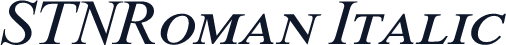 STNRoman Italic