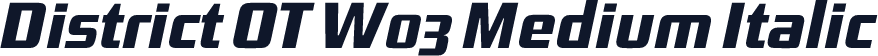 District OT W03 Medium Italic