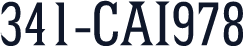 341-CAI978