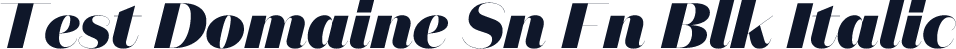 Test Domaine Sn Fn Blk Italic