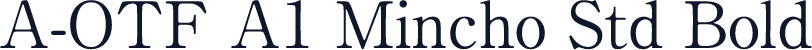 A-OTF A1 Mincho Std Bold