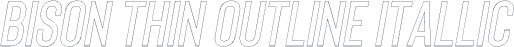 Bison Thin Outline Itallic
