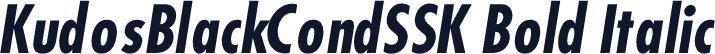 KudosBlackCondSSK Bold Italic