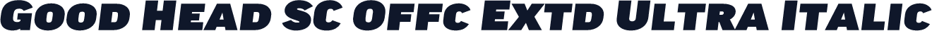 Good Head SC Offc Extd Ultra Italic