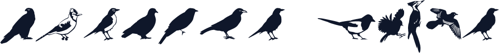 Altemus Birds