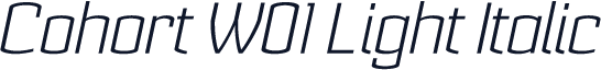 Cohort W01 Light Italic