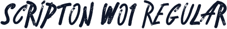 Scripton W01 Regular