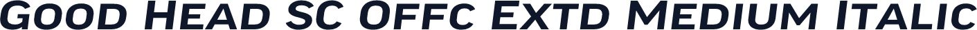Good Head SC Offc Extd Medium Italic