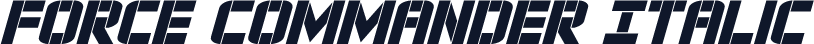 Force Commander Italic