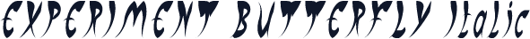 EXPERIMENT BUTTERFLY Italic