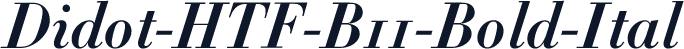 Didot-HTF-B11-Bold-Ital