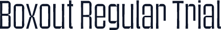 Boxout Regular Trial