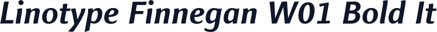 Linotype Finnegan W01 Bold It