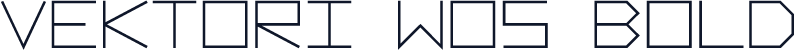 Vektori W05 Bold