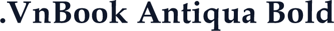 .VnBook Antiqua Bold