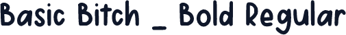 Basic Bitch _ Bold Regular