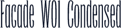 Facade W01 Condensed