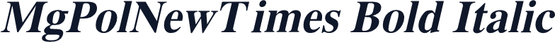 MgPolNewTimes Bold Italic