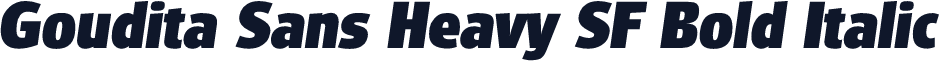 Goudita Sans Heavy SF Bold Italic