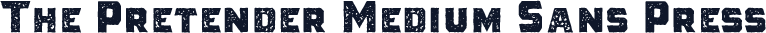 The Pretender Medium Sans Press