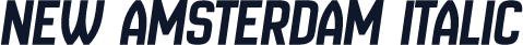 New Amsterdam Italic