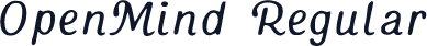 OpenMind Regular