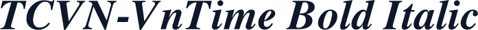 TCVN-VnTime Bold Italic