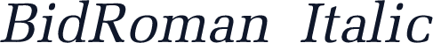 BidRoman  Italic