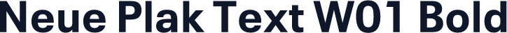 Neue Plak Text W01 Bold