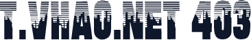 t.vhao.net 403