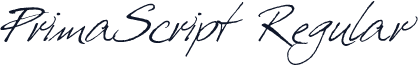 PrimaScript  Regular