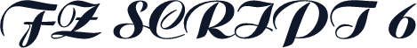 FZ SCRIPT 6